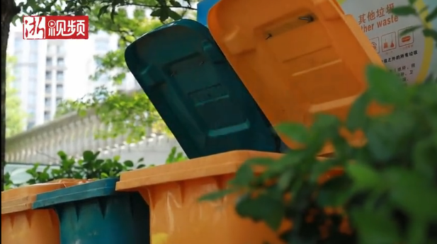 freestyle的垃圾桶，引发多家媒体竞相报道