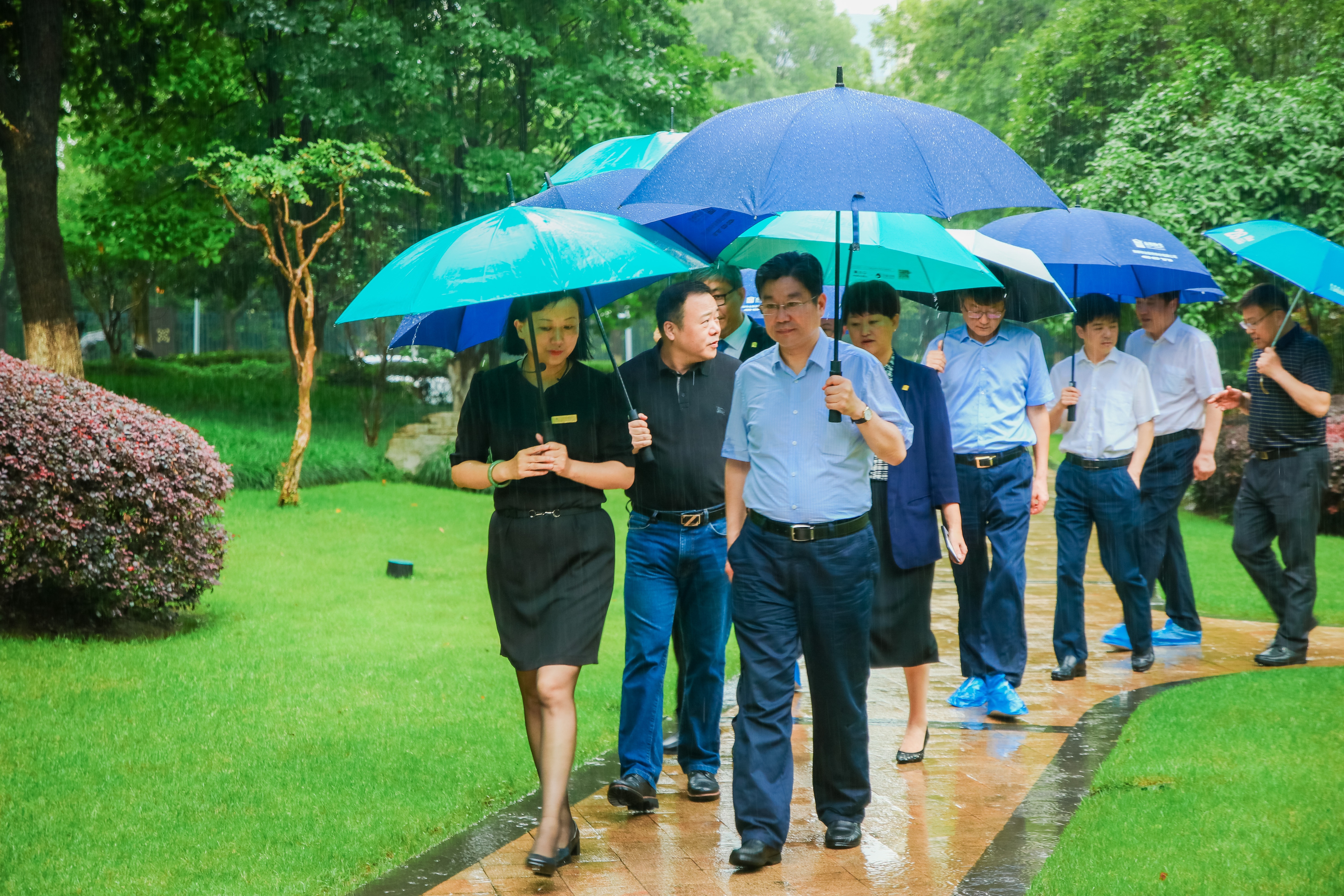 服务至上|镇江市丹徒区委书记张映桥等领导一行走访考察欧博游戏服务项目东方润园